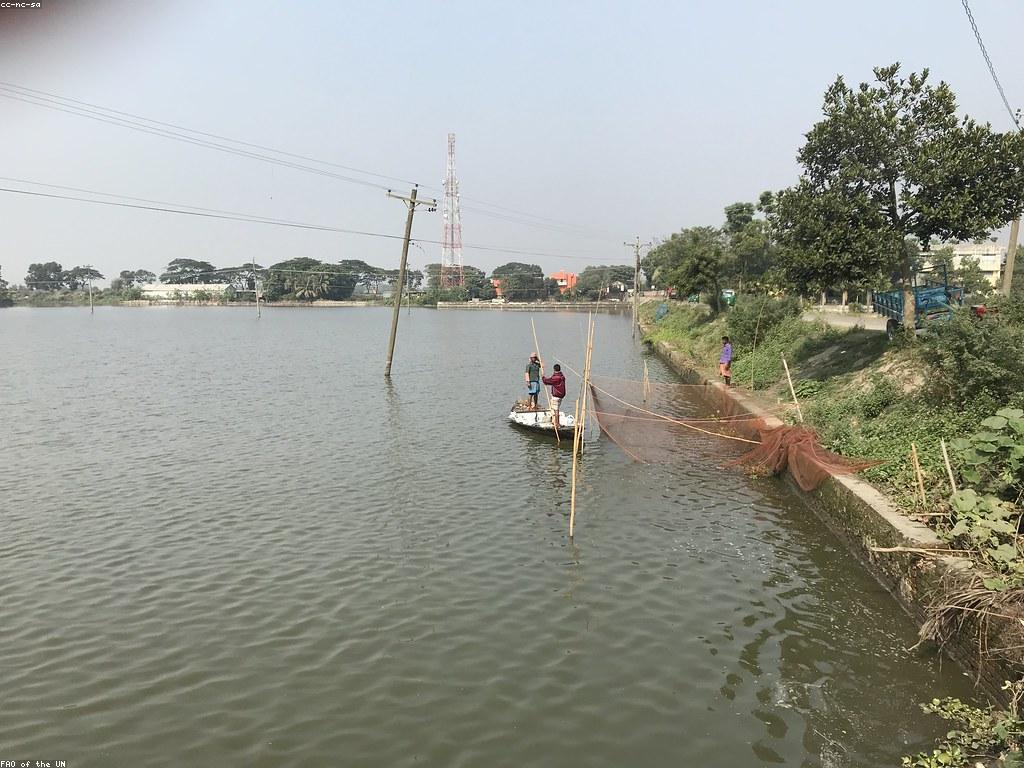 មគ្គុទេសក៍ជំនាញសម្រាប់ការប្រកួតបាញ់ត្រី