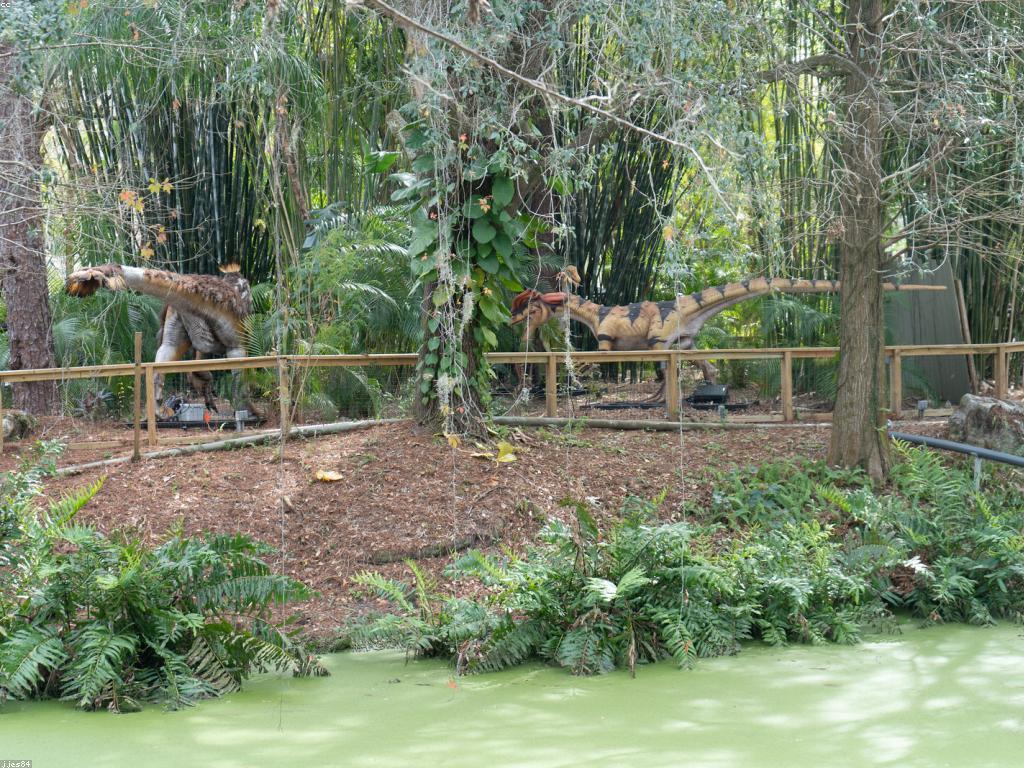 វិធីបាញ់ត្រីសម្រាប់ភាពជោគជ័យ